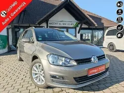 VW Golf VII