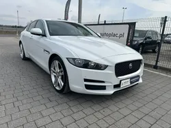 Biały Używany 2016 Jaguar XE Sedan/Limuzyna | 45 800 zł