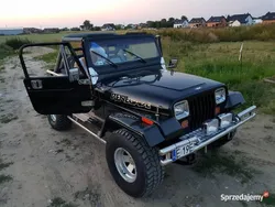 Używany 1993 Jeep Wrangler SUV | 39 900 zł