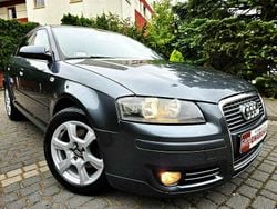 Szary Używany 2005 Audi A3 Hatchback | 14 999 zł (Uczciwa cena)