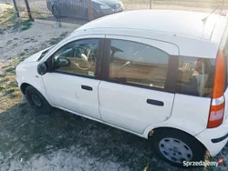 Biały Używany 2011 Fiat Panda Hatchback | 3800 zł (Super Cena)