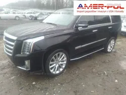 Czarny Używany 2020 Cadillac Escalade SUV | 190 000 zł