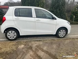 Biały Używany 2015 Suzuki Celerio Hatchback | 21 500 zł