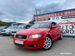 Używany 2004 Audi A3 Comfort | 5490 zł (Dobra cena)