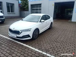 Używany 2021 Skoda Octavia Sedan/Limuzyna | 68 900 zł (Dość drogi)