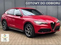 Czerwony Nowe 2025 Alfa Romeo Stelvio Veloce SUV | 238 900 zł