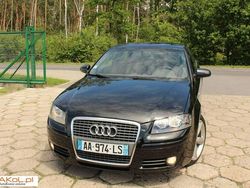 Czarny (metalik) Używany 2007 Audi A3 | 17 500 zł (Uczciwa cena)