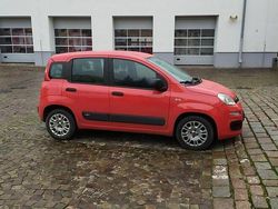 Czerwony Używany 2019 Fiat Panda Easy Hatchback | 29 900 zł (Dobra cena)