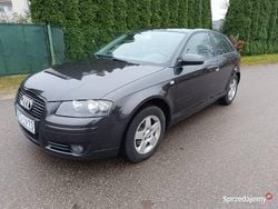 Szary Używany 2007 Audi A3 Coupe | 11 500 zł (Uczciwa cena)