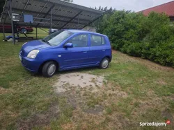 Używany 2006 Kia Picanto Hatchback | 4200 zł (Super Cena)