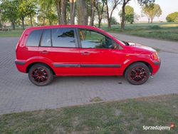 Czerwony Używany 2009 Ford Fusion Hatchback | 6900 zł