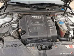 Używany 2009 Audi A4 | 23 000 zł (Dobra cena)