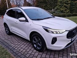 Używany 2023 Ford Kuga ST-Line SUV | 111 000 zł (Drogi)