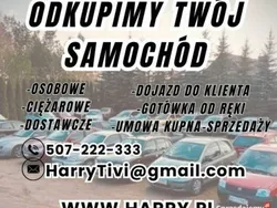 Czerwony Używany 2003 Fiat Panda Hatchback | 900 zł (Super Cena)