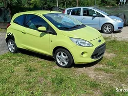 Żółty Używany 2008 Ford Ka Hatchback | 4300 zł
