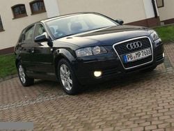 Czarny Używany 2004 Audi A3 Premium Hatchback | 18 900 zł
