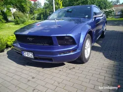 Używany 2008 Ford Mustang | 35 800 zł