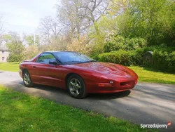 Używany 1997 Pontiac Firebird | 19 500 zł