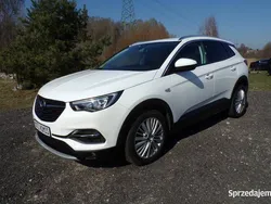 Biały Używany 2019 Opel Grandland X SUV | 68 500 zł (Uczciwa cena)