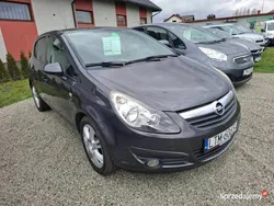 Szary Używany 2010 Opel Corsa Hatchback | 16 400 zł (Uczciwa cena)