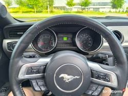 Bordowy Używany 2015 Ford Mustang GT Kabriolet | 93 000 zł