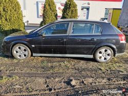 Czarny Używany 2003 Opel Signum Hatchback | 4999 zł