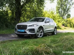 Srebrny Używany 2021 Jaguar F-Pace SUV | 134 999 zł (Uczciwa cena)