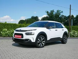 Biały Używany 2019 Citroën C4 Cactus Hatchback | 48 900 zł (Uczciwa cena)
