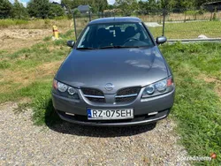 Używany 2006 Nissan Almera | 11 900 zł