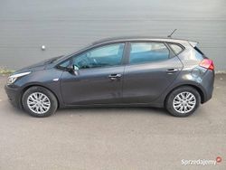 Używany 2015 Kia Ceed Hatchback | 35 700 zł (Uczciwa cena)