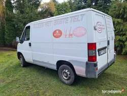 Biały Używany 1999 Fiat Ducato Van | 8500 zł (Uczciwa cena)