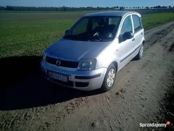 Używany 2010 Fiat Panda Hatchback | 6500 zł (Dobra cena)