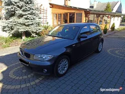 Srebrny Używany 2006 BMW 116 Hatchback | 9500 zł (Dobra cena)