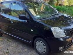 Używany 2005 Kia Picanto 2 Hatchback | 5500 zł (Uczciwa cena)