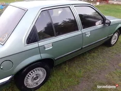 Zielony Używany 1982 Opel Rekord Sedan/Limuzyna | 14 950 zł