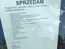 Używany 2007 Peugeot 407 | 15 000 zł