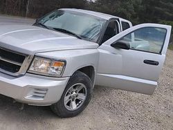 Srebrny Używany 2008 Dodge Dakota Pickup | 39 000 zł