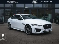 Biały Używany 2024 Jaguar XE R-Dynamic Sedan/Limuzyna | 215 000 zł
