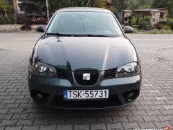 Używany 2007 Seat Ibiza | 9900 zł (Drogi)