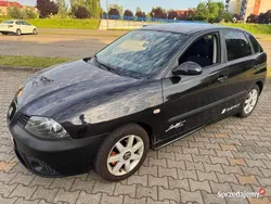 Używany 2008 Seat Ibiza | 10 523 zł (Dobra cena)