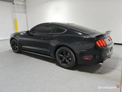 Używany 2016 Ford Mustang | 74 000 zł
