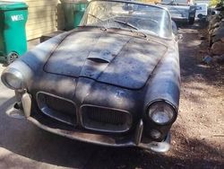 Używany 1959 Fiat 1200 | 67 800 zł