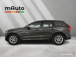 Grafitowy Używany 2020 Volvo XC60 Momentum SUV | 119 900 zł (Super Cena)