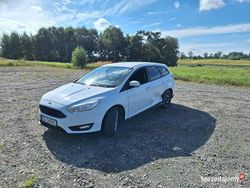 Używany 2016 Ford Focus | 10 500 zł (Uczciwa cena)