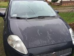 Granatowy Używany 2009 Fiat Punto Hatchback | 4800 zł (Uczciwa cena)