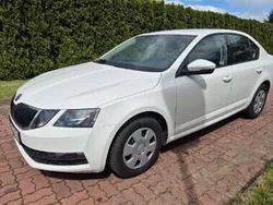 Biały Używany 2019 Skoda Octavia Active Sedan/Limuzyna | 27 500 zł (Dobra cena)