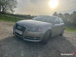 Beżowy Używany 2008 Audi A3 Hatchback | 17 500 zł (Uczciwa cena)