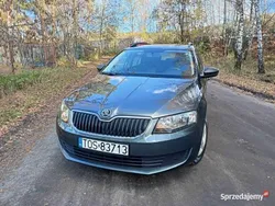 Używany 2015 Skoda Octavia Active | 34 500 zł (Drogi)