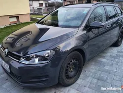 Używany 2016 VW Golf VII | 34 000 zł (Dobra cena)
