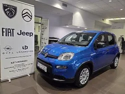 Niebieski Używany 2025 Fiat Panda Urban Hatchback | 59 900 zł (Drogi)